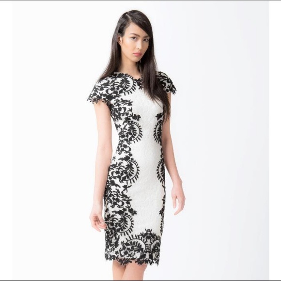 Tadashi Shoji Lace Dress - Picture 1 of 8